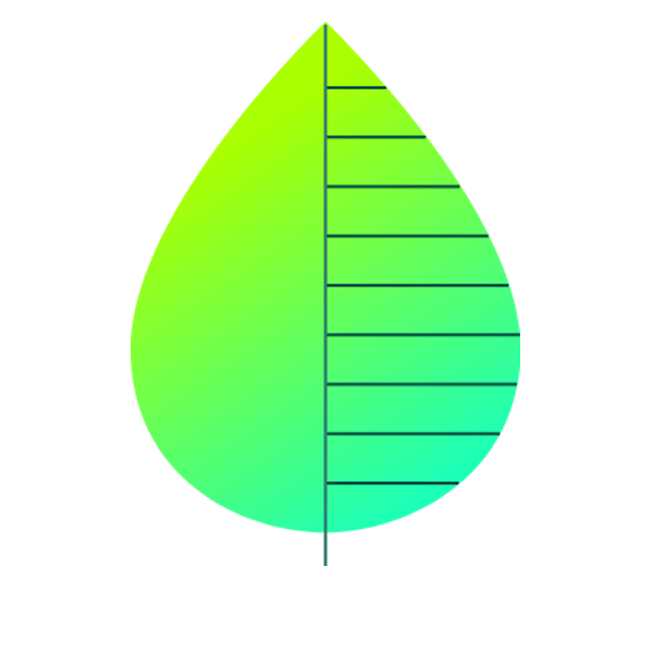 Reduce our environmental impact in our operations and supply chain