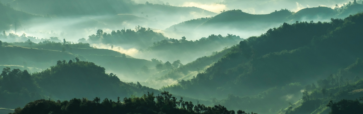Environmental Footprint