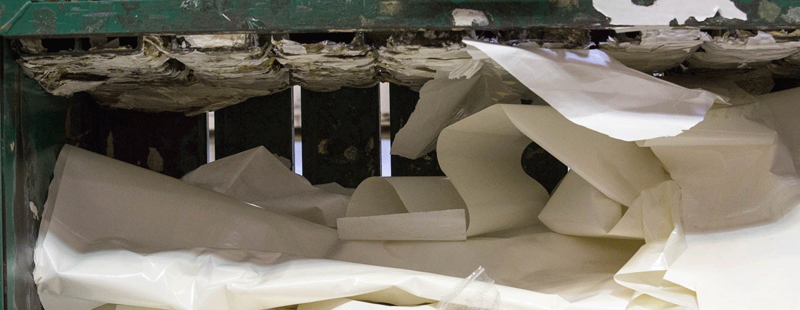 Turning Paper Liner Waste into Paper Towels